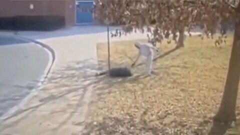 Video Shows A 16-Year-Old Being Murdered In Cold Blood After School In Baltimore