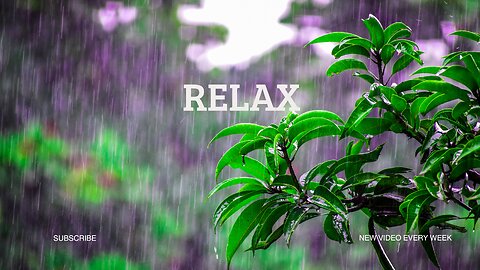 Rain sound -calming rain sounds