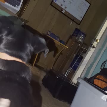 Hide and Seek (June 2023)