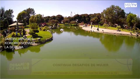 DESAFIOS DE MUJER 19/02/2025