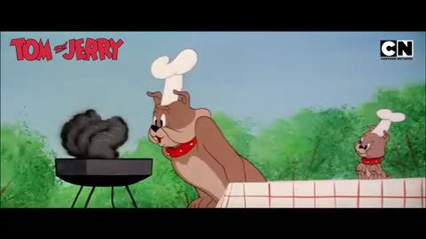 Tom and Jerry Funny Cartoon Video