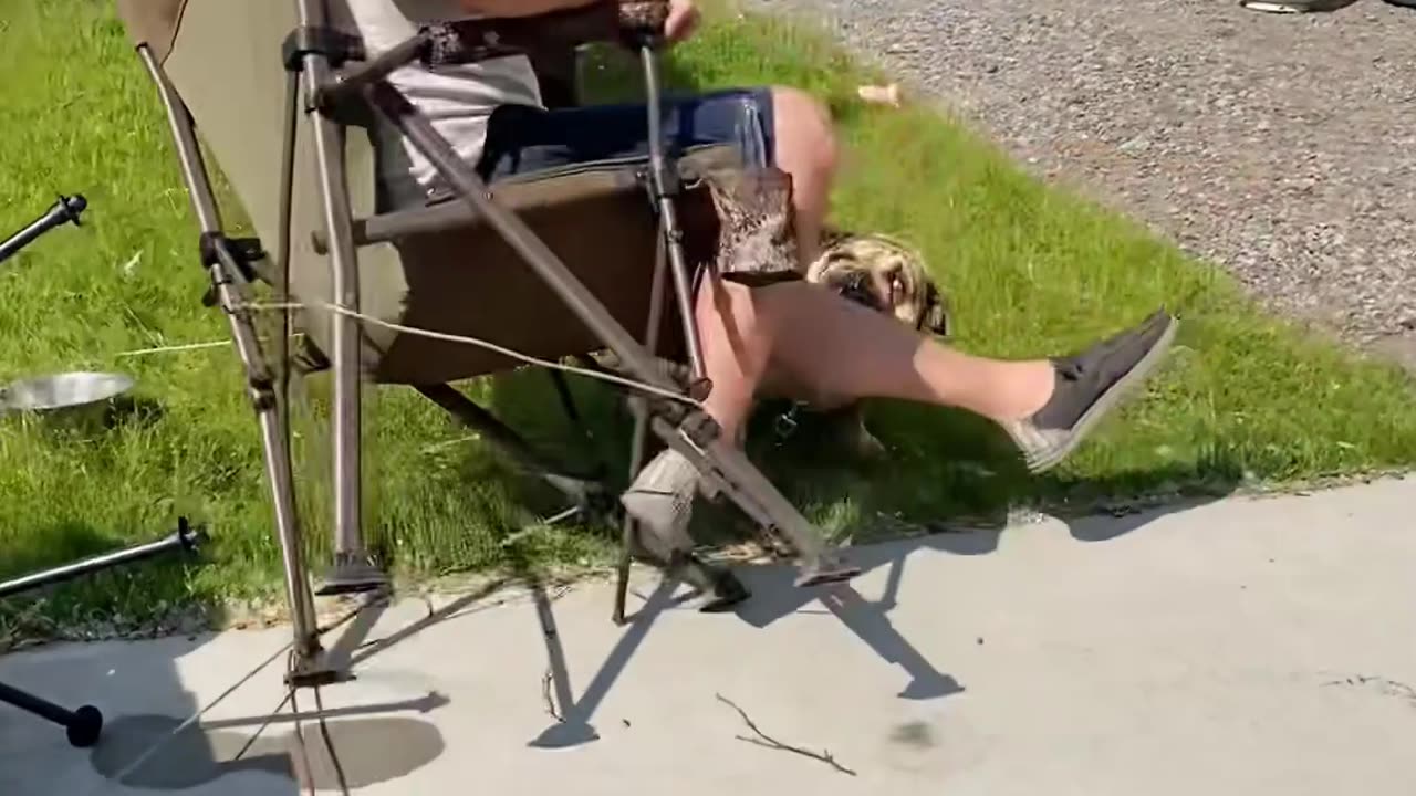 Dog vs. Deer Chaos: Camping Trip Fail! 🏕️😂 (@lisaboucher33)
