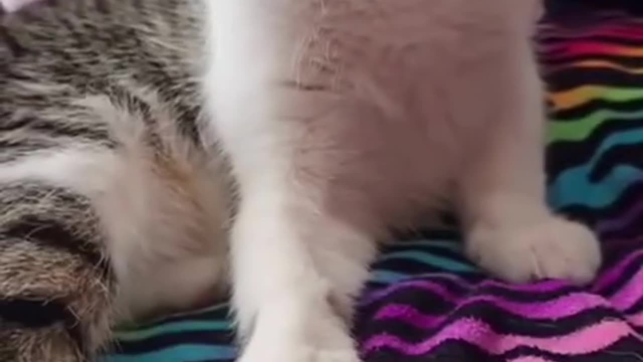 Bro is like...are you for real 👹