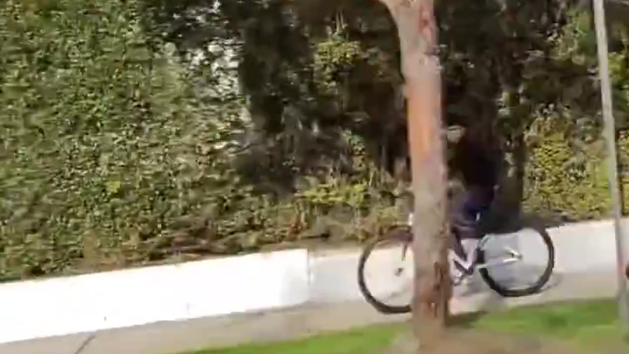 Group of teenage bicyclists assault a man after he drove through them in Los Angeles