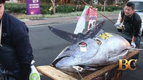 Giant tuna fish sold to Tokyo sushi restaurateurs for $1.3m