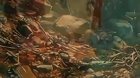 Beshak 💯♥️✨🕊️