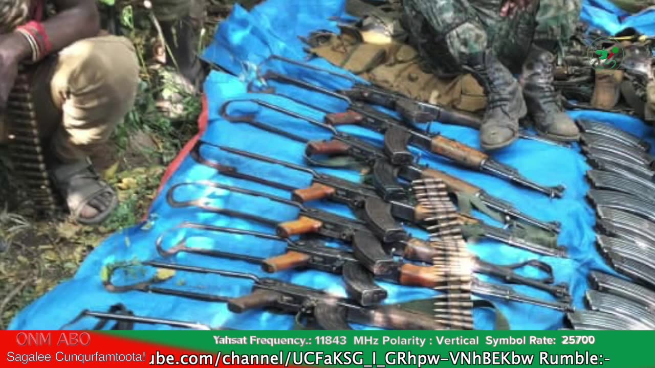 Gabaasa Ammee ONM-ABO Amajjii 19-2025 itti dhiyaadhaa!