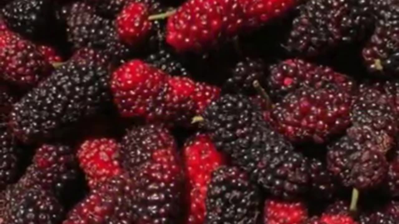 Two benefits of eating mulberry