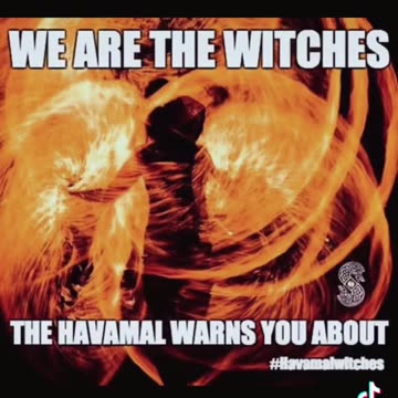 Tim Rifat TikTok videos