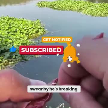 This Man’s Shocking Fishing Trick Using CHILIES – You Won’t Believe How It Works!