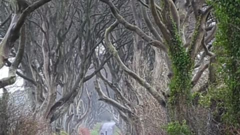 The Dark hedges, Game of thrones