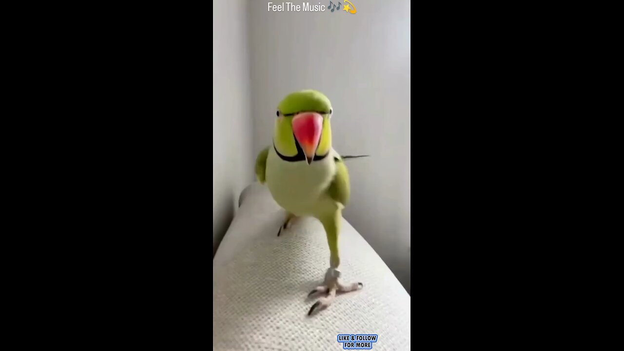 O O O Tum Ko Piya Dil Diya