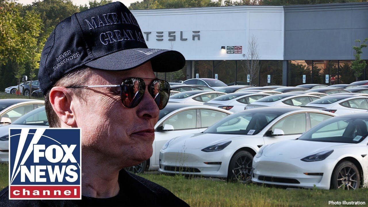 Anti-Elon Musk protesters prepare for global 'Tesla takedown' day