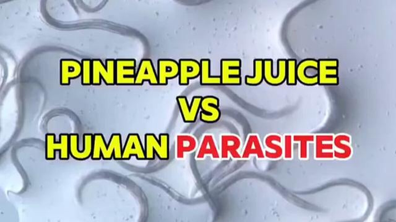 Pineapple Juice vs Parasites (under the microscope)