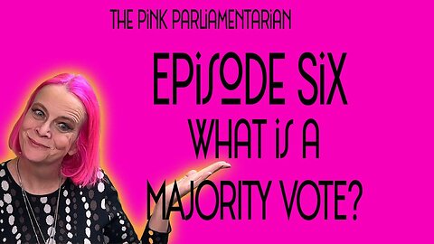 What is a Majority Vote? - The Pink Parliamentarian Ep. 6