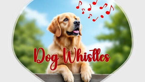 Dog Whistles (Country Music Lyric Video)