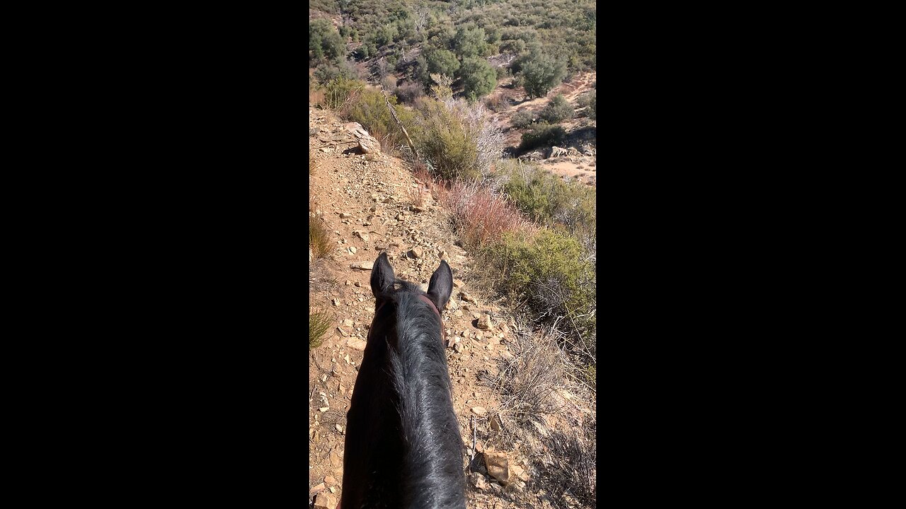Riding the Noble Canyon Trail