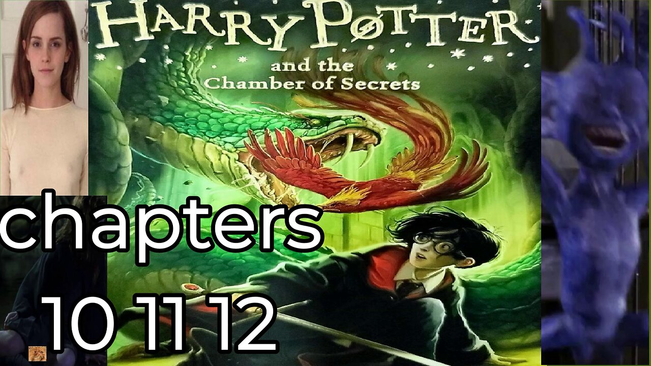 Harry Potter and the Chamber of Secrets , chapters 10 11 12,