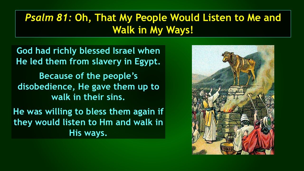 Video Bible Study: The Book of Psalms - #047