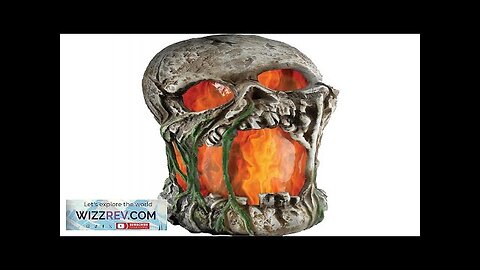 Flaming Rotted Skull Animated Prop 12 Inches Review