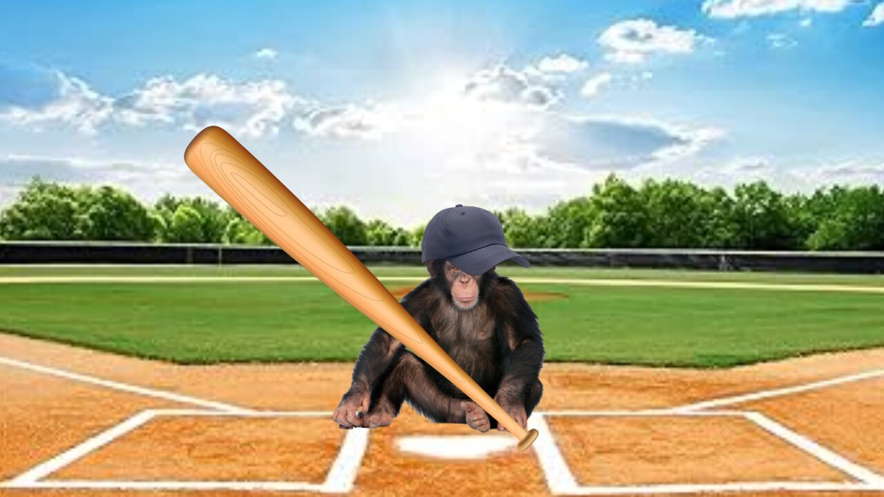 Do not let a monkey play baseball