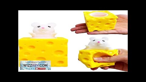 Squishy Cheese Stress Balls Pop Fidget Toys (1-Pack) Animal Stress Ball Squishy Review