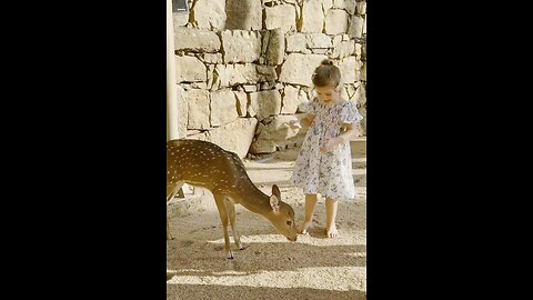 kid with deer in Sri lanka