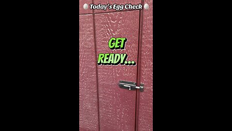 🥚 Today’s Egg Check! 🥚