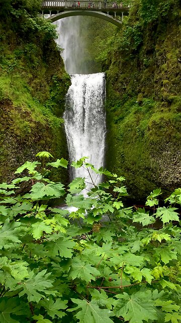 Multnomah Falls, Oregon