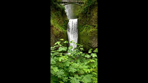 Multnomah Falls, Oregon