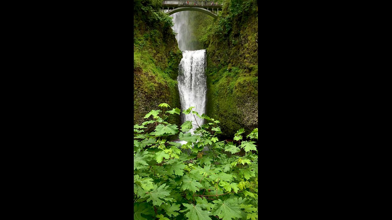 Multnomah Falls, Oregon