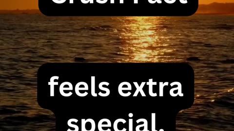 Crush Fact
