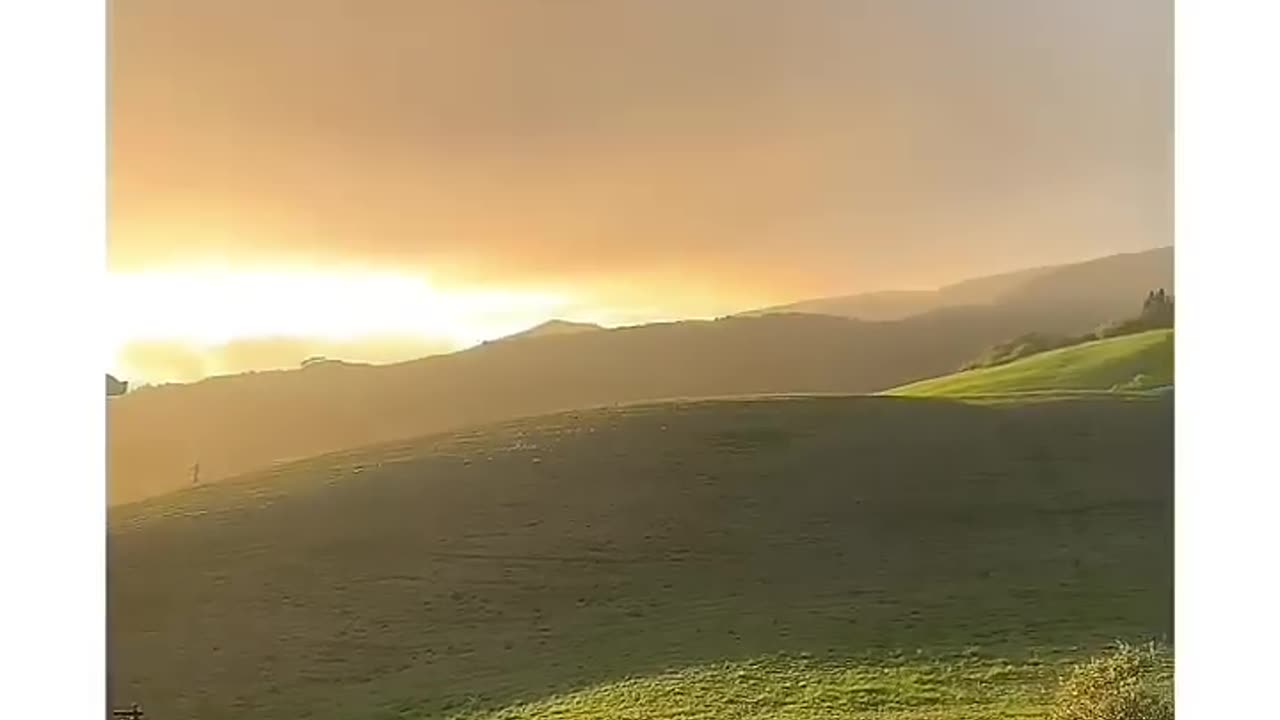 What a Beauty