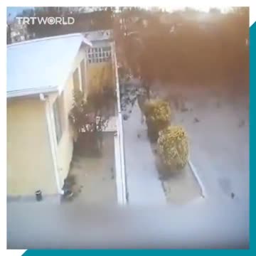 YIKES! 😕 Very Strange, its as if the Group of Birds Were Hit by a DEW or 5G - In Mexico