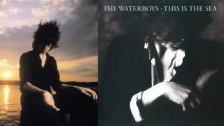 THE WATERBOYS - This Is The Sea