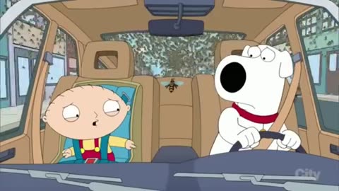 Family Guy Funny Moments