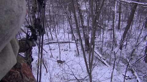 Bowhunting video - doe harvest in Iowa