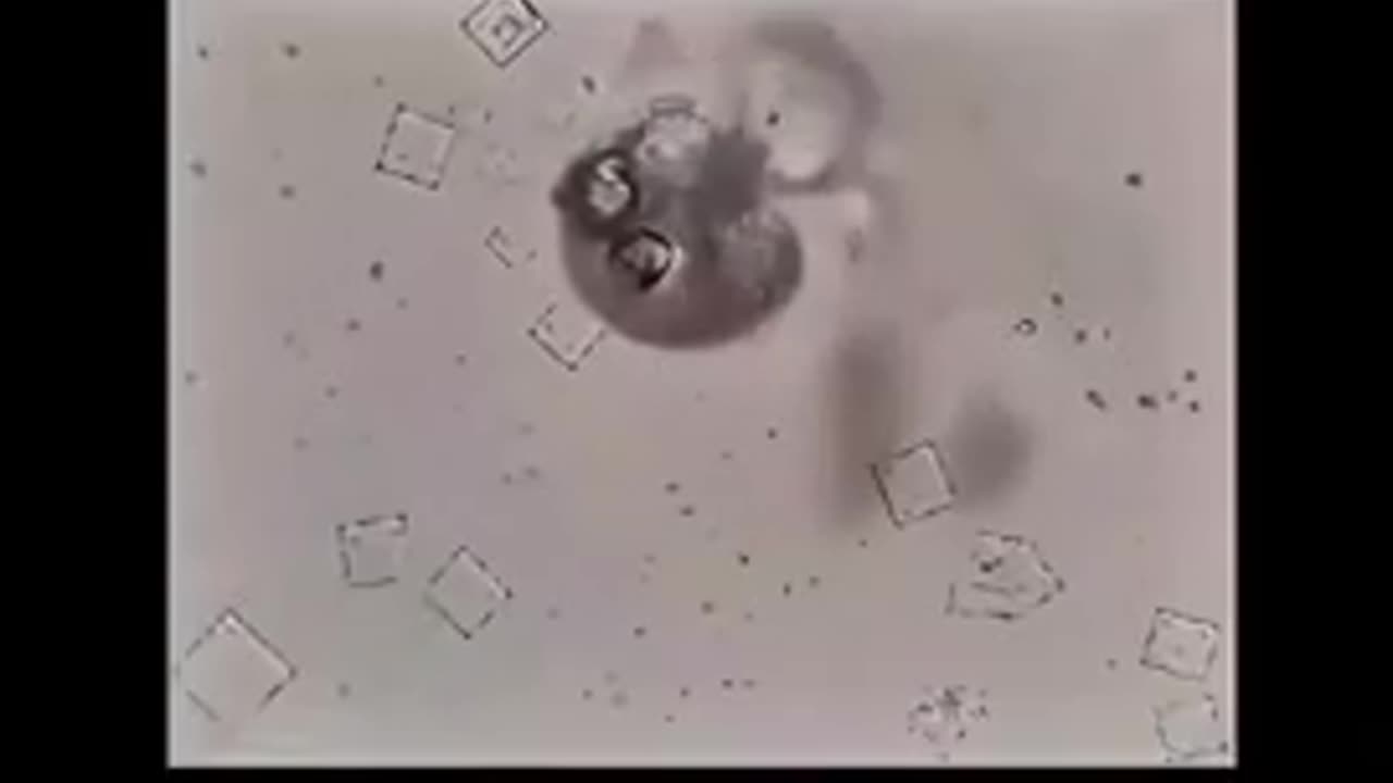 Nicotine destroying Nanotec under microscope is curiously fascinating