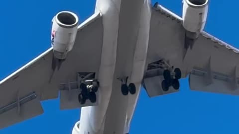 What’s flying over head?