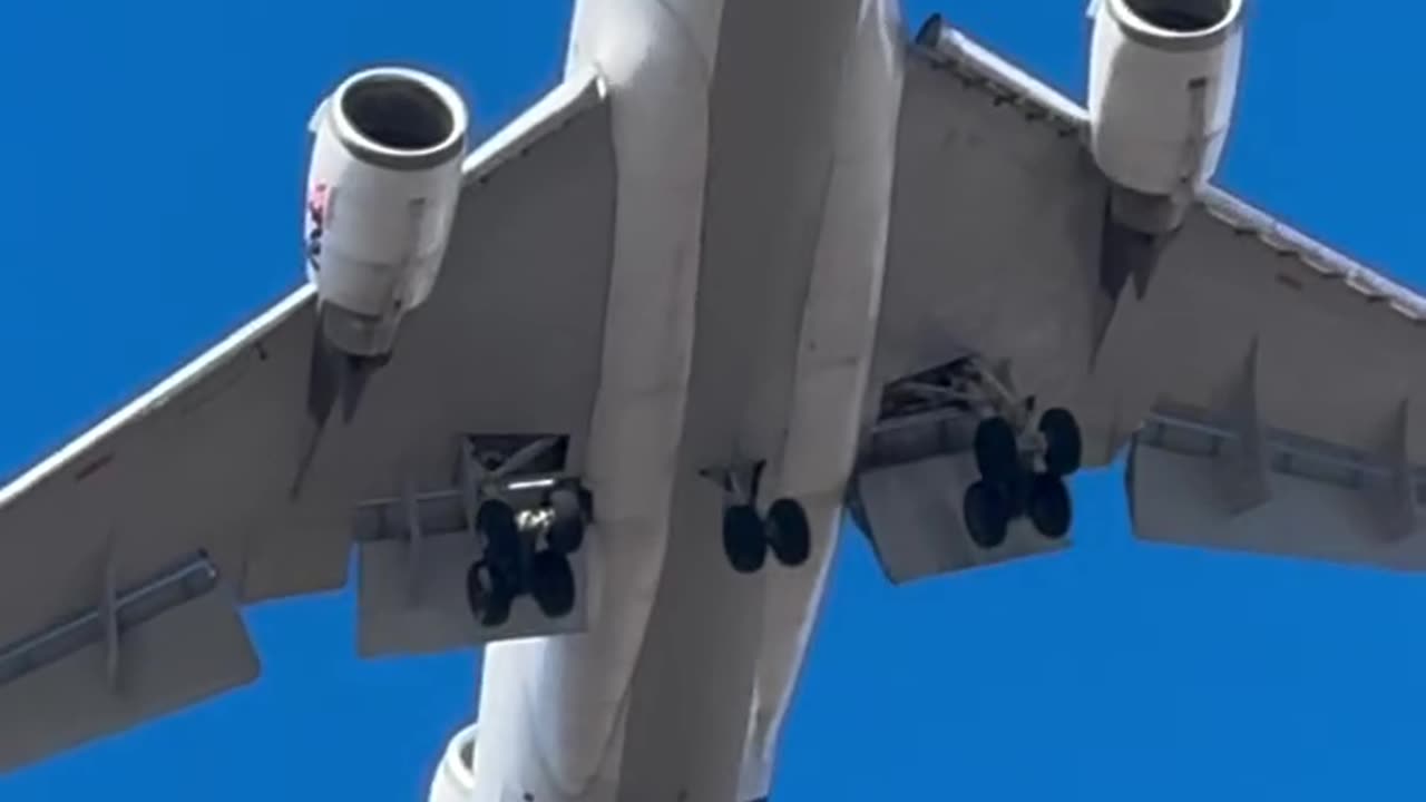 What’s flying over head?