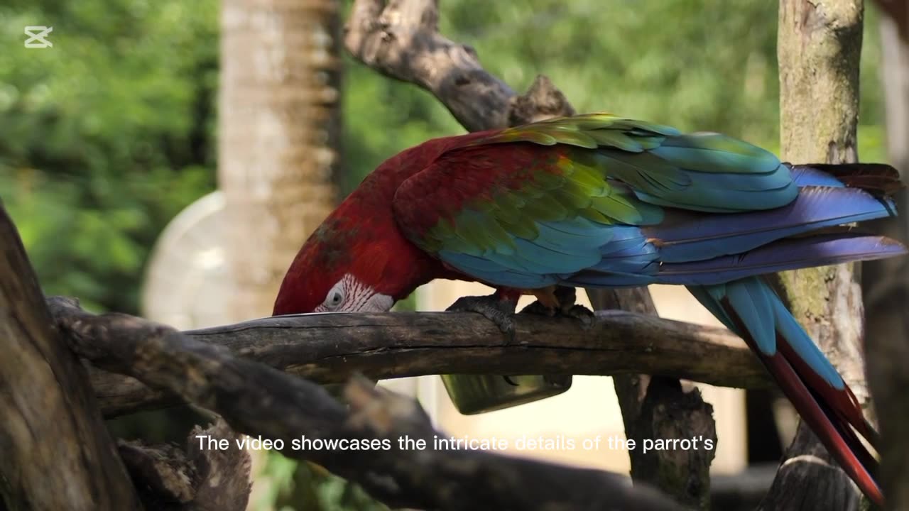 "Macaw Parrot Feeding on a Branch in Nature"