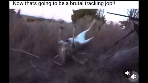 The best takedown of a deer -you can’t make this stuff up