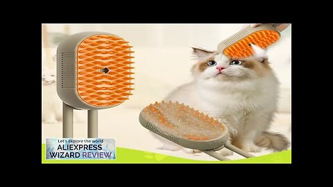 Steamy Dog Brush Electric Spray Cat Hair Brush Magic Massage Comb 3 Review