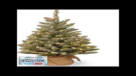 National Tree Company Pre-lit Artificial Mini Christmas Tree Includes Small White Review