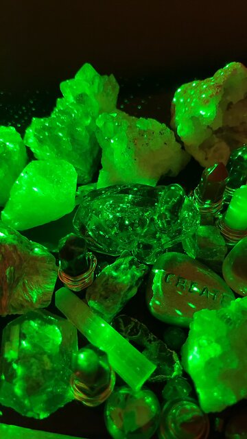 Ron Paul wants a sammie