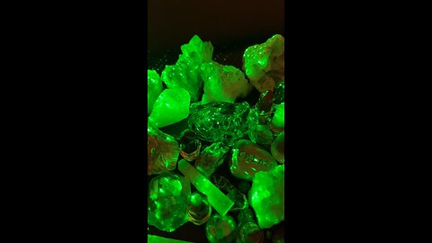 Ron Paul wants a sammie