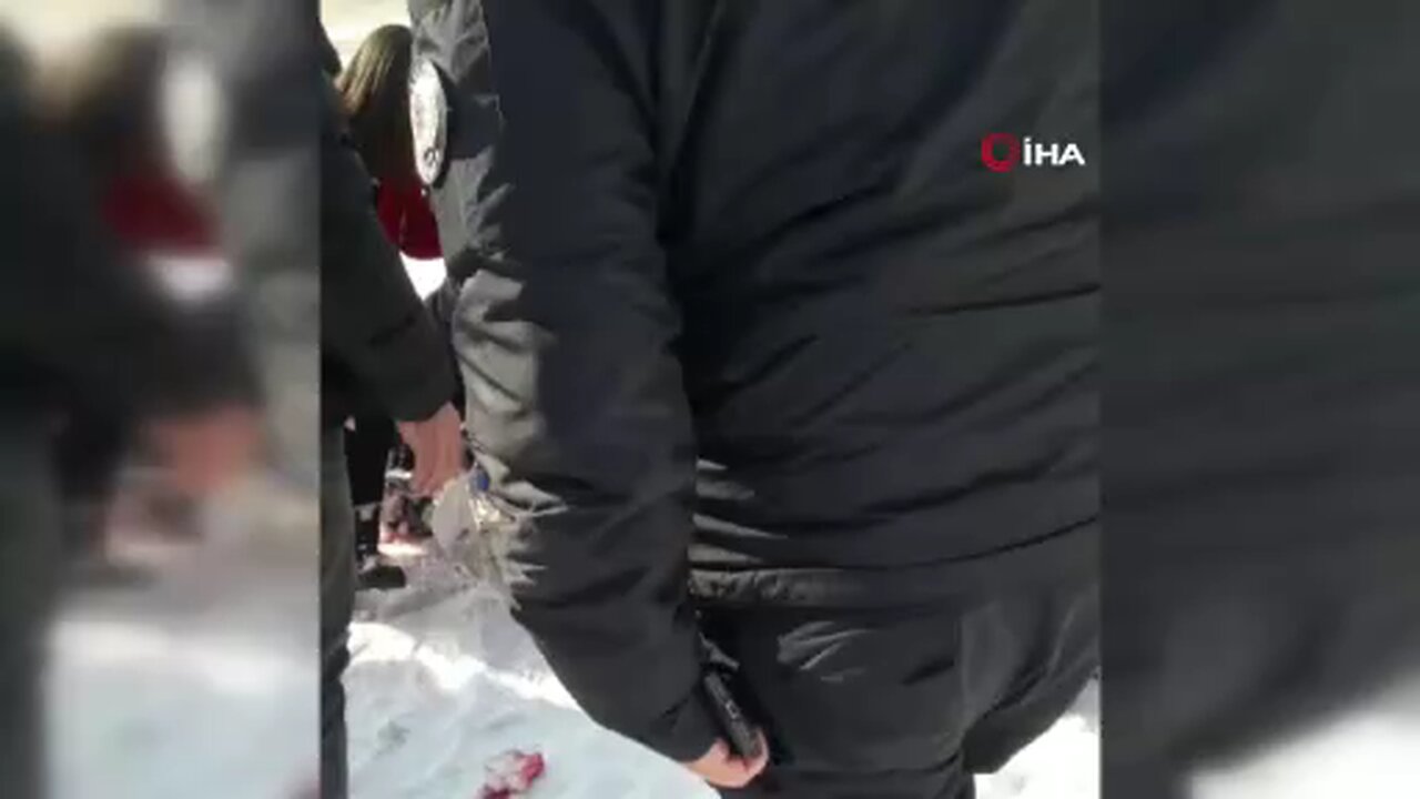 Yüksekova'da başıboş köpekler dehşet saçtı: 12 yaşındaki kız ağır yaralandı