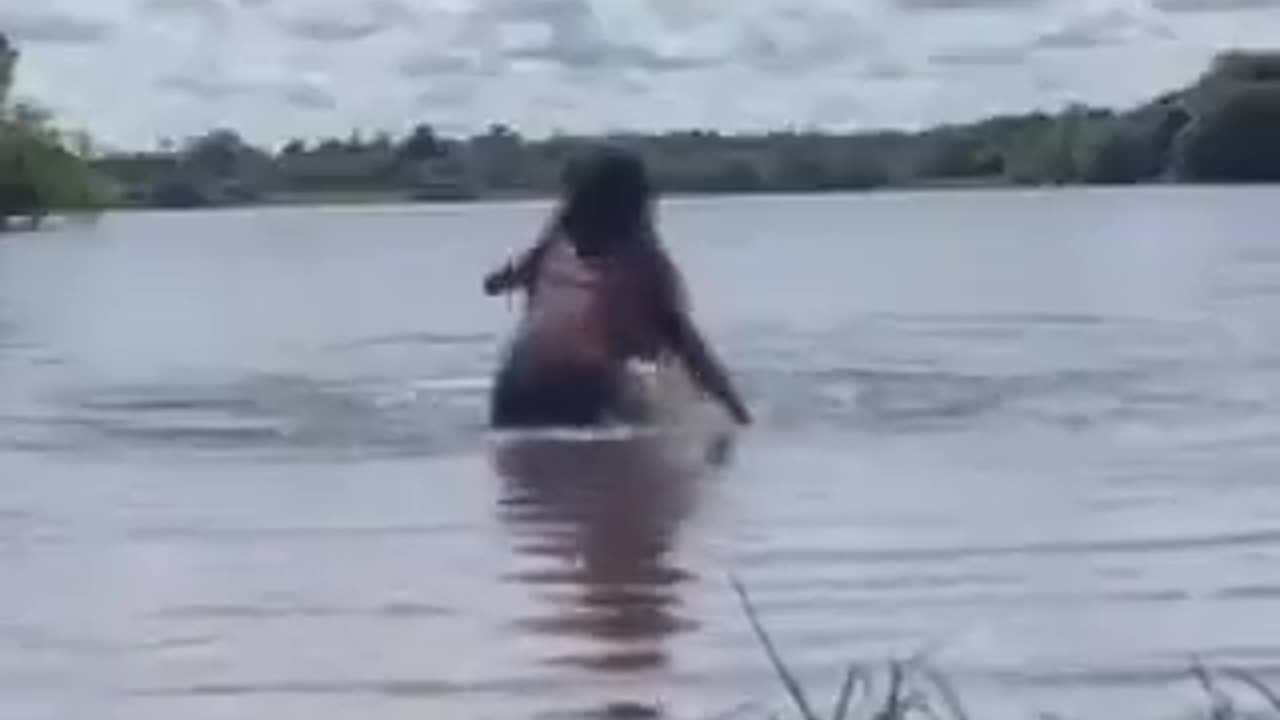 swimmer attacked by capybara in the lake | viral video