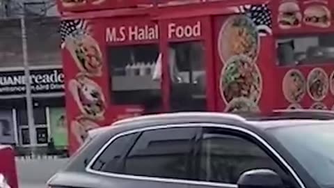 NYC Halal food cart worker caught catching pigeon with bare hands then returns to his cart with it