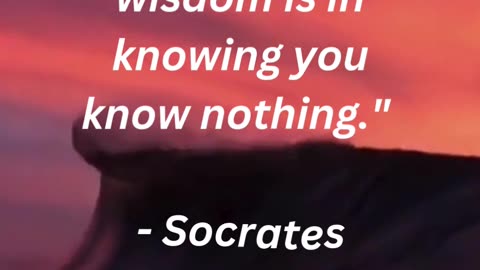 "The only true wisdom is in knowing you know nothing." - Socrates